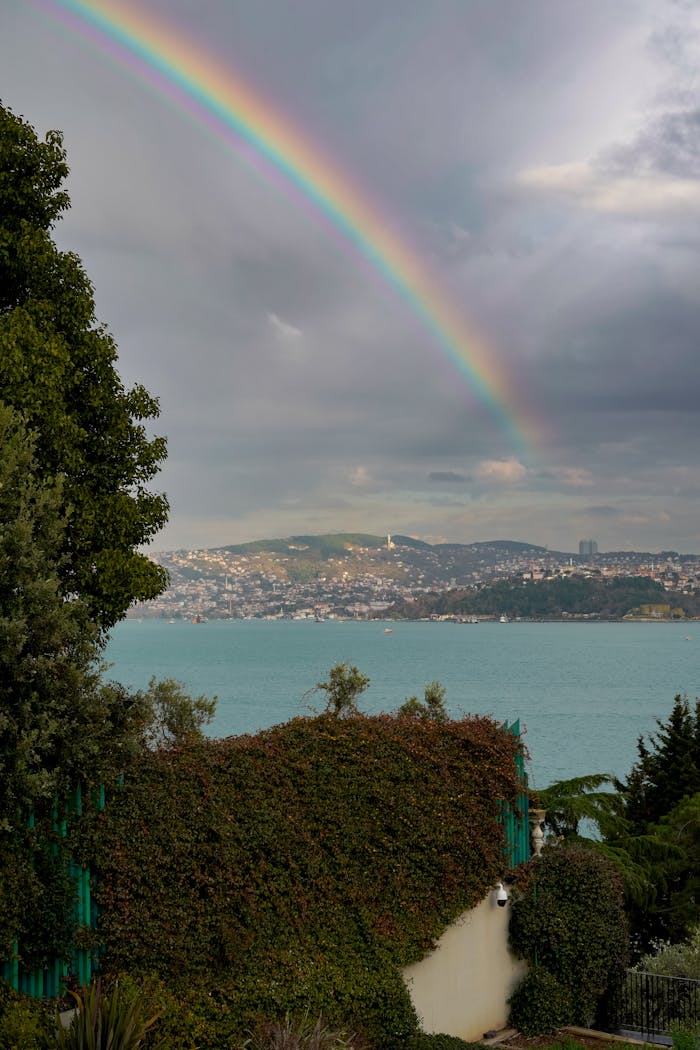 programs-01 Stunning rainbow arches over a scenic seaside city view.